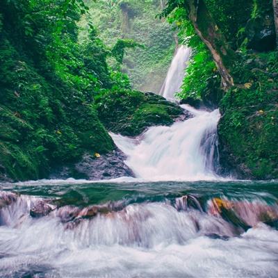 果盘版楚娇传游戏下载