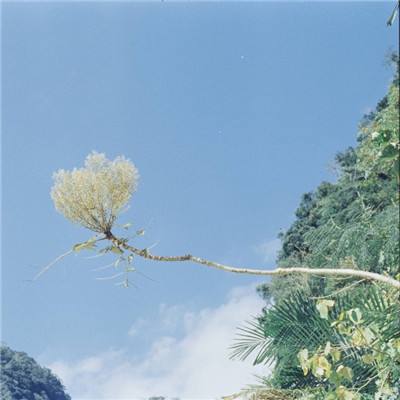 恶魔的摇篮曲手机版下载